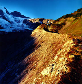 Nisqually Glacier Lateral Moraine