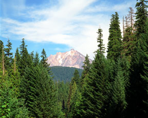 Mount Jefferson Close-Up