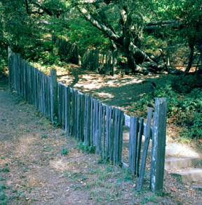 Earthquake Trail Offset