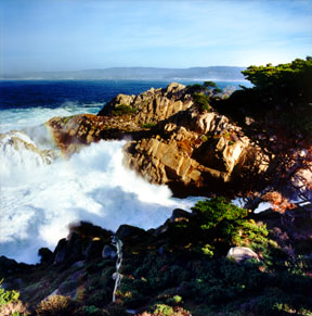 Monterey from Point Lobos