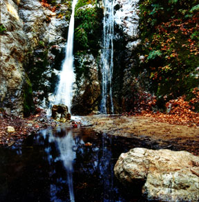 Pfeiffer Falls