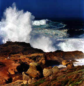 High Surf at Point Lobos