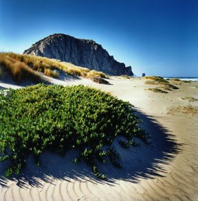 Morro Rock