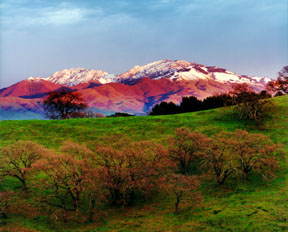 Mount Diablo - February 2001
