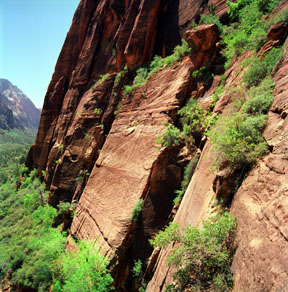 Cross Bedding in Navajo Sandstone