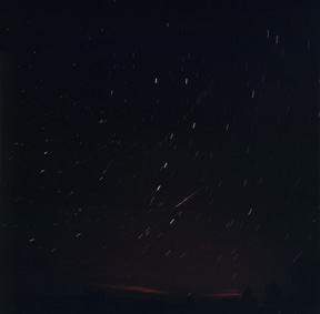Leonid Meteor Smoke Trail