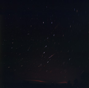 Leonid Meteor Smoke Trail