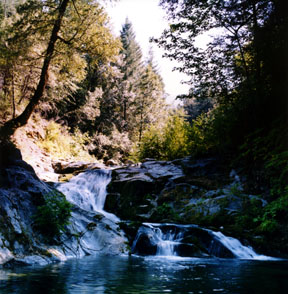 Brandy Creek Falls