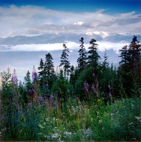 Mount Baker