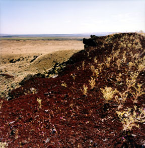 Red Bomb Crater