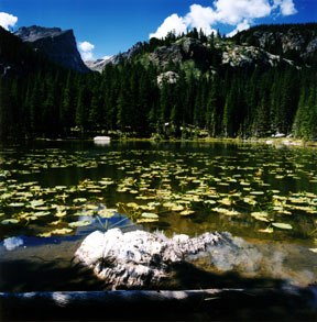 Nymph Lake and Hallett Peak