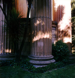 Eclipse in Tree Shadows Close Up- Palace of Fine Arts