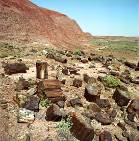 Painted Desert Overlook