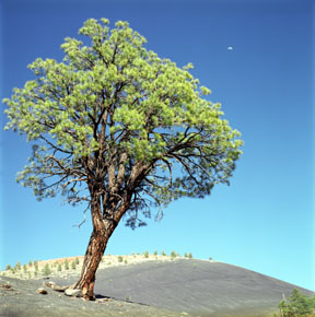 Sunset Crater and Crescent Moon