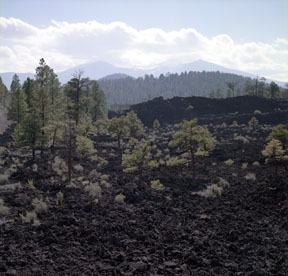 San Francisco Peaks View