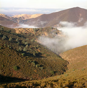 Fog under Eagle Peak