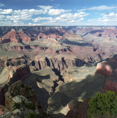 Hopi Point View