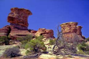 Needles District Hoodoos