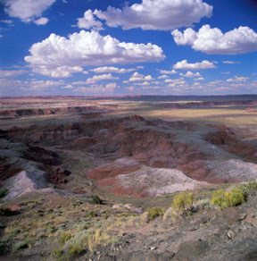 Painted Desert Overlook