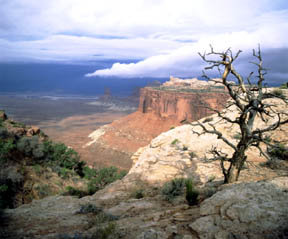 Buck Canyon Overlook