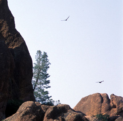 Close up of Two Hawks to the right of the High Peaks