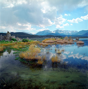 Mono Lake Reflection