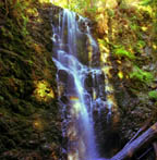 Berry Creek Falls