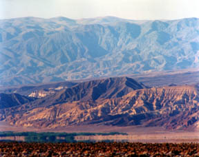 Mirrored Oasis