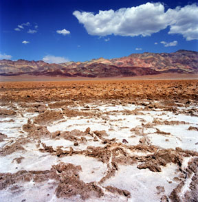Salt Tectonics
