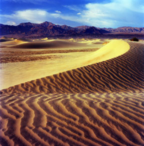 Mesquite Flat Sand Dunes No. 3