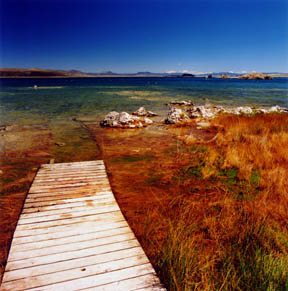 Disappearing Walkway - Rising Lake