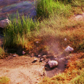 Close-up of a Steam Vent next to Hot Springs Creek