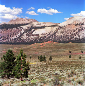 Mono Craters