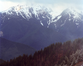 Hurricane Ridge Viewpoint