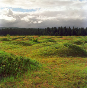 Mima Mounds