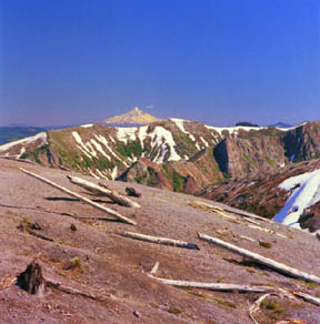 Mount Hood from Mount St. Helens