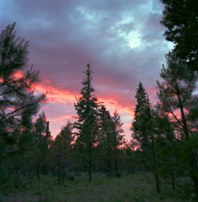 Deschutes Sunset