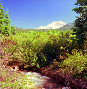 Mount Shasta, South View