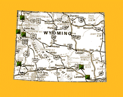 taa rental application free rental application. taa rental application