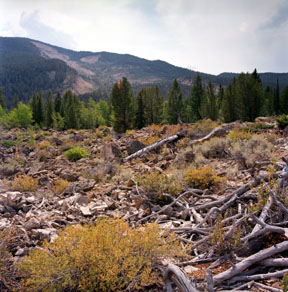 Gros Ventre Slide Geological Area