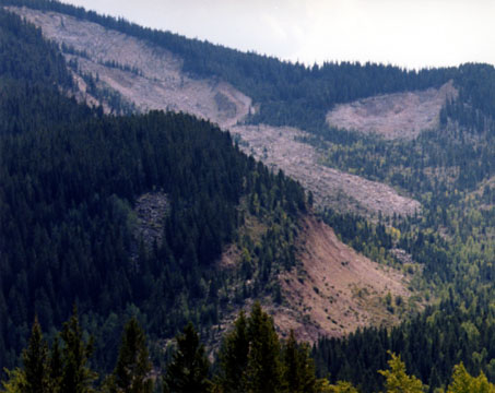 Gros Ventre Landslide Close-Up