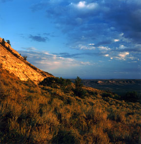 Fossil Butte National Monument