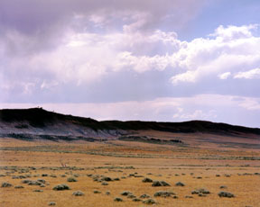 Como Bluff Fossil Site