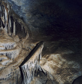 Lehman Caves Shield Formation