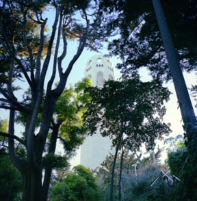 Coit Tower Approach
