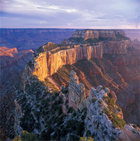 Corrected Internegative